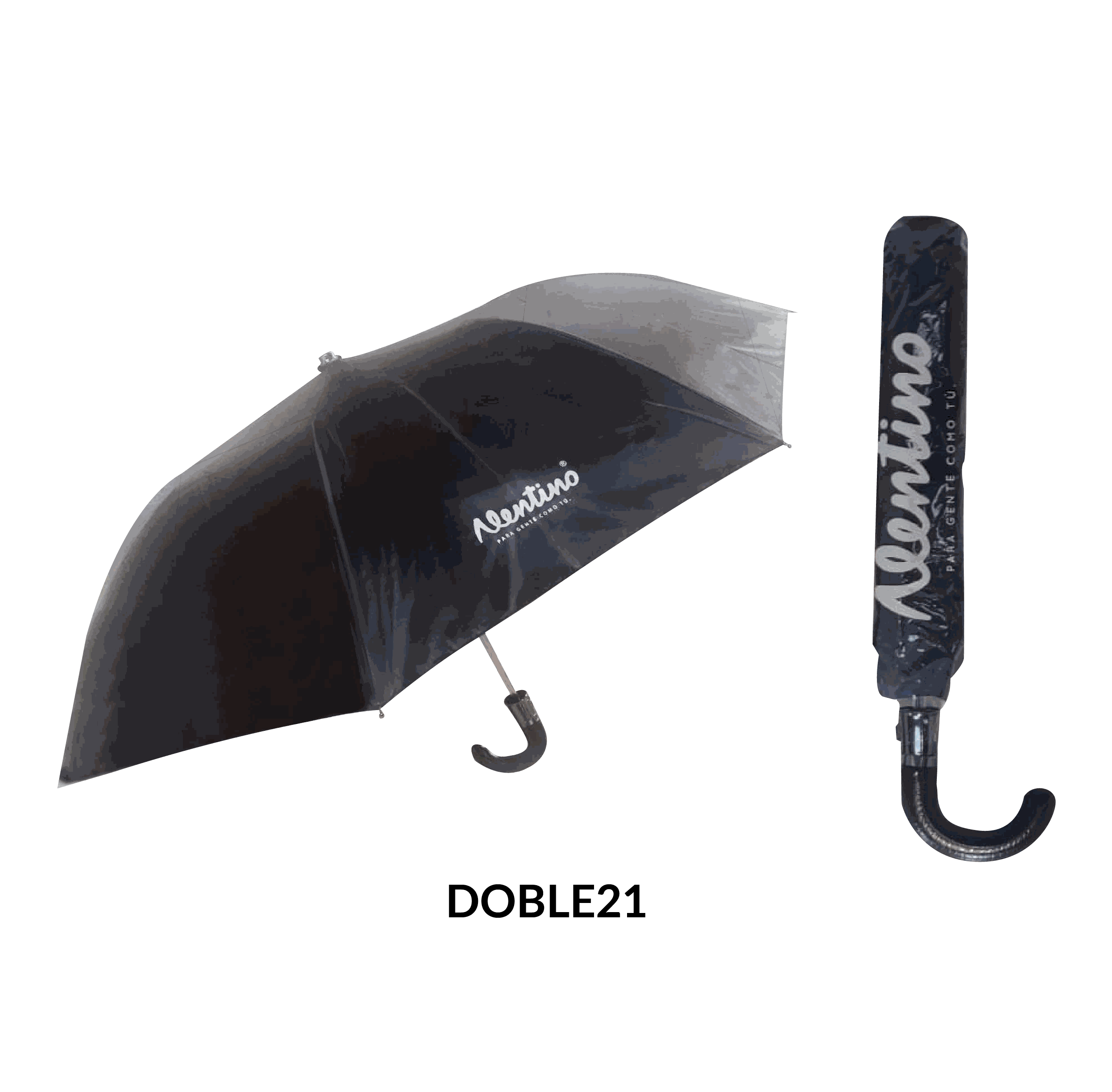 Imagen de la diapositiva