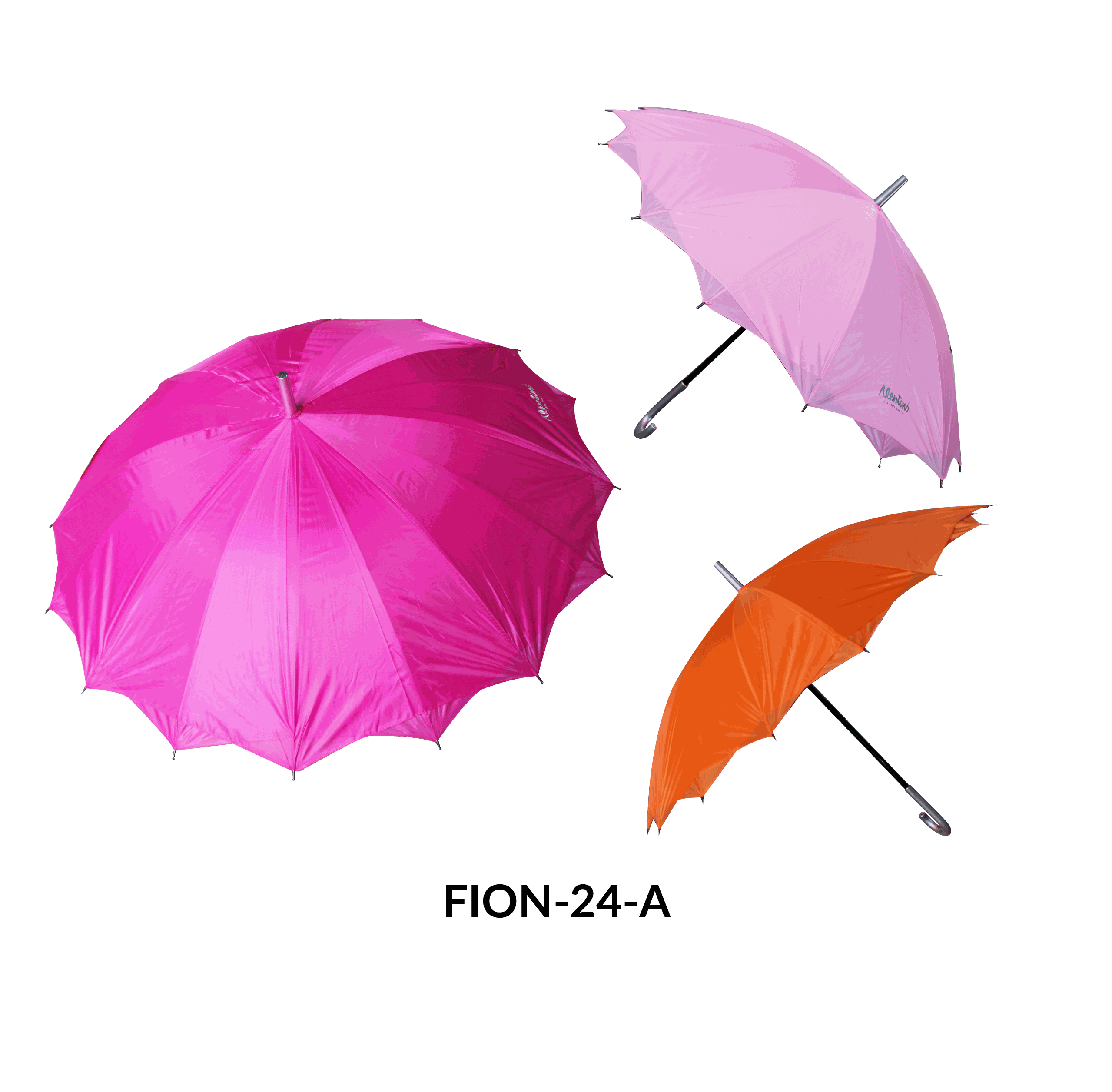 Imagen de la diapositiva